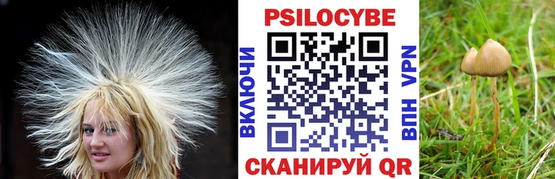 Псилоцибиновые грибы Magic Shrooms  Холмск 