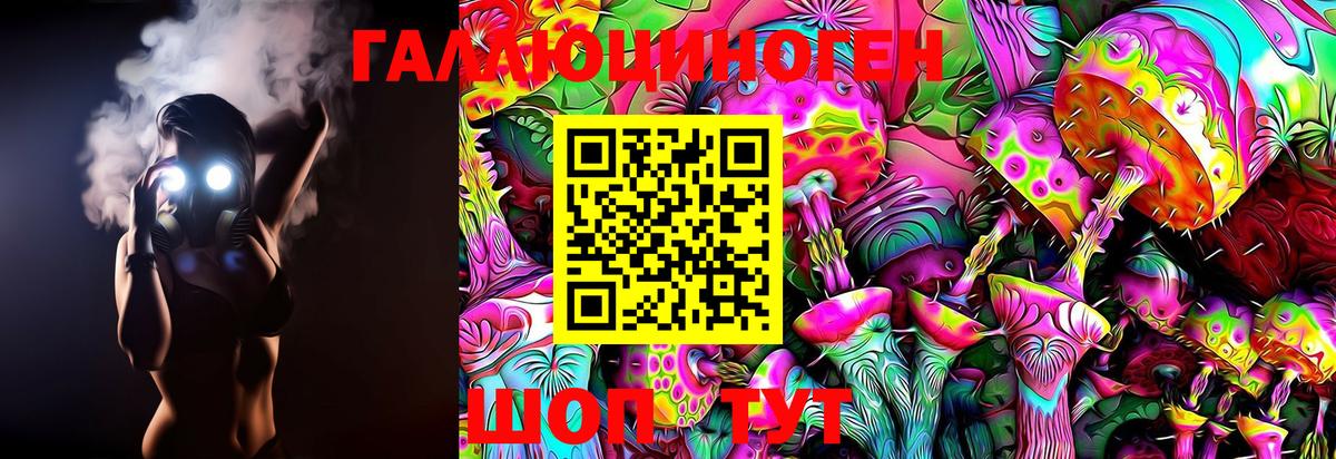 Псилоцибиновые грибы Psilocybine cubensis  Вход с VPN  Холмск 