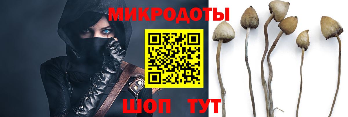 Галлюциногенные грибы прущие грибы Холмск